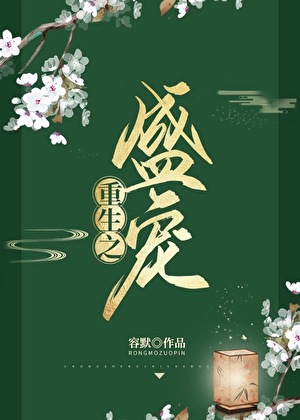 重生之盛宠